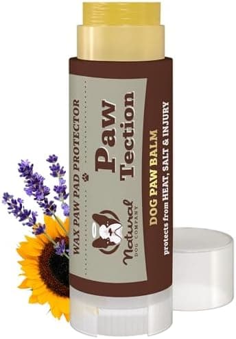Natural Dog Company Pawtection Balm for Hot Pavement, Dry Cracked Dog Paws, and Rough Terrain - Safe, Non-Toxic, and Lick Safe - Protects Paws with Natural Ingredients, 0.15 oz Stick