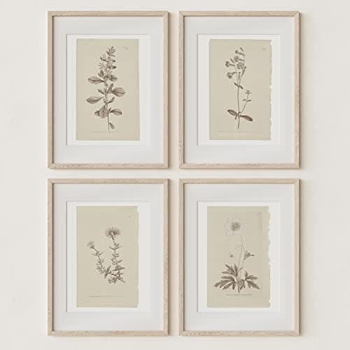 Wall Art Botanical Plant Prints | Vintage Flower Boho Minimalist Floral Artwork Neutral Decor for Bedroom, Living Room, Bathroom, Home or Office Walls | Set of 4 UNFRAMED Pictures | Overall Size (11 x